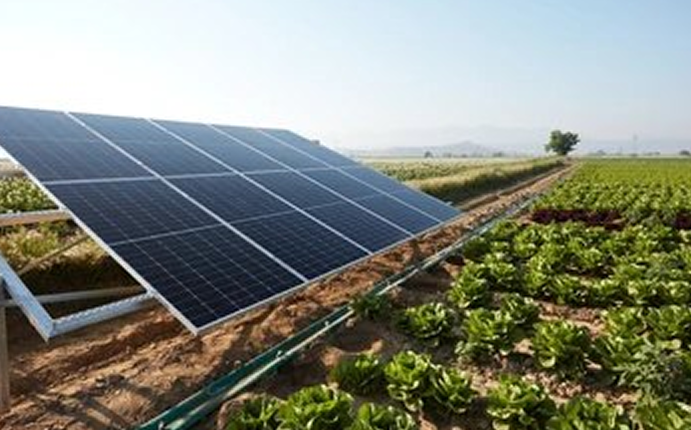 Solar Farm